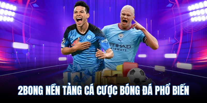 2bong nền tảng cá cược bóng đá phổ biến